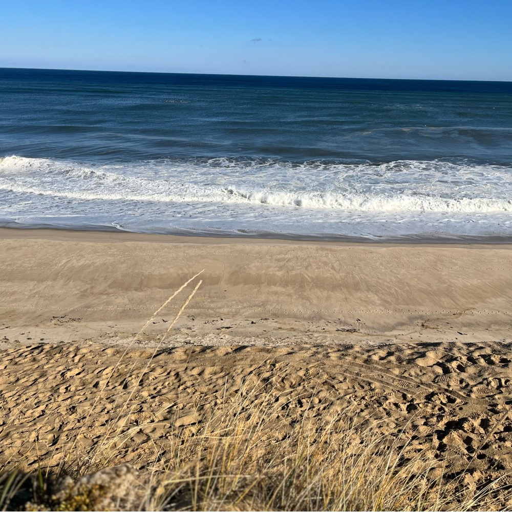 Meet your Posher, Kaylynn